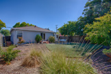 518 Scott Ave, Redwood City 94063 - Backyard (C)