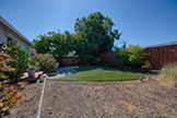 518 Scott Ave, Redwood City 94063 - Backyard (D)