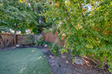 518 Scott Ave, Redwood City 94063 - Pomegranates 