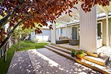 932 Tulane Dr, Mountain View 94040 - Backyard (A)