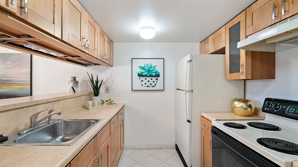 Kitchen - 225 W Red Oak Dr M, Sunnyvale 94086