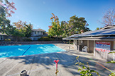 10584 White Fir Ct, Cupertino 95014 - Swimming Pool (B)