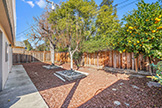 1342 Forrestal Ave, San Jose 95110 - Backyard (A)