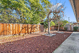 1342 Forrestal Ave, San Jose 95110 - Backyard (B)