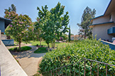 7150 Rainbow Dr 21, San Jose 95129 - Common Area (A)