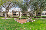 765 San Antonio Rd 56, Palo Alto 94303 - Common Area (A)
