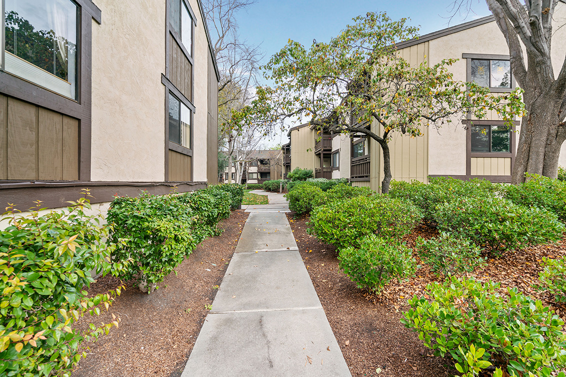 Common Path (A) Picture - 765 San Antonio Rd 56, Palo Alto 94303 Common Path (A) picture - 765 San Antonio Rd 56, Palo Alto 94303