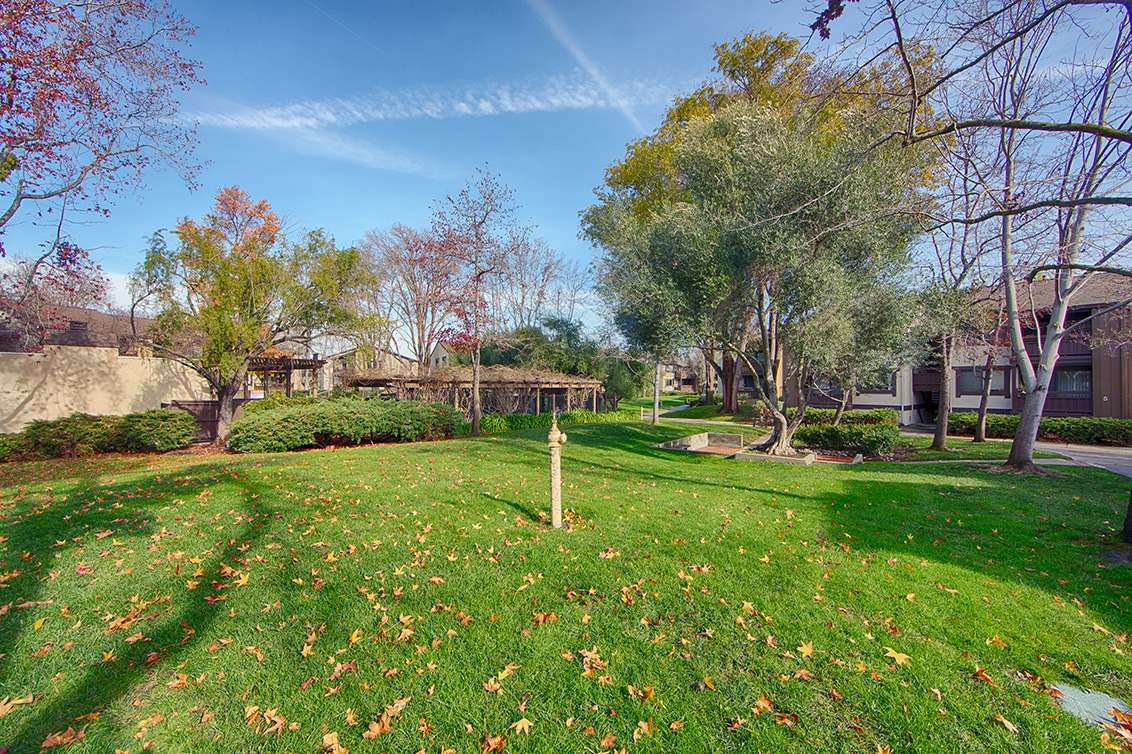Front Yard (A) Picture - 765 San Antonio Rd 56, Palo Alto 94303 Front Yard (A) picture - 765 San Antonio Rd 56, Palo Alto 94303