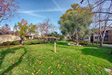 765 San Antonio Rd 56, Palo Alto 94303 - Front Yard (A)