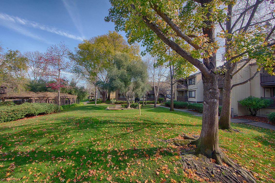 Front Yard (B) Picture - 765 San Antonio Rd 56, Palo Alto 94303 Front Yard (B) picture - 765 San Antonio Rd 56, Palo Alto 94303
