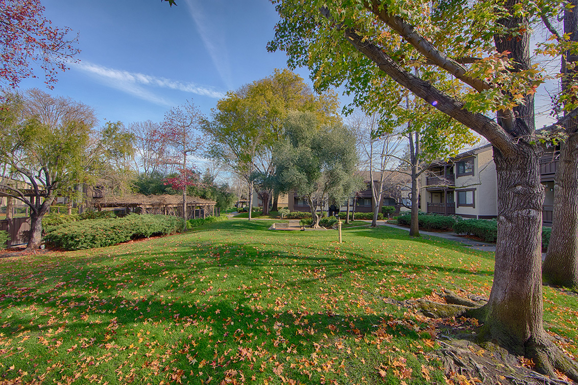 Front Yard (C) Picture - 765 San Antonio Rd 56, Palo Alto 94303 Front Yard (C) picture - 765 San Antonio Rd 56, Palo Alto 94303