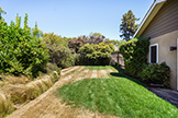 907 Clara Dr, Palo Alto 94303 - Backyard (A)