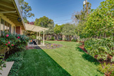 869 E Meadow Dr, Palo Alto 94303 - Back Yard (D)