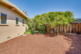 869 E Meadow Dr, Palo Alto 94303 - Side Yard (B)
