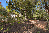 1160 Harker Ave, Palo Alto 94301 - Backyard (B)