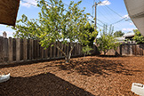 1187 Manzano Way, Sunnyvale 94089 - Backyard (A)
