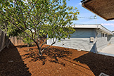 1187 Manzano Way, Sunnyvale 94089 - Backyard (B)