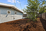 1187 Manzano Way, Sunnyvale 94089 - Backyard (C)
