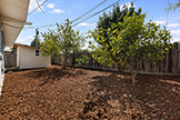 1187 Manzano Way, Sunnyvale 94089 - Backyard (D)
