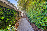 520 Rhodes Dr, Palo Alto 94303 - Entrance Path