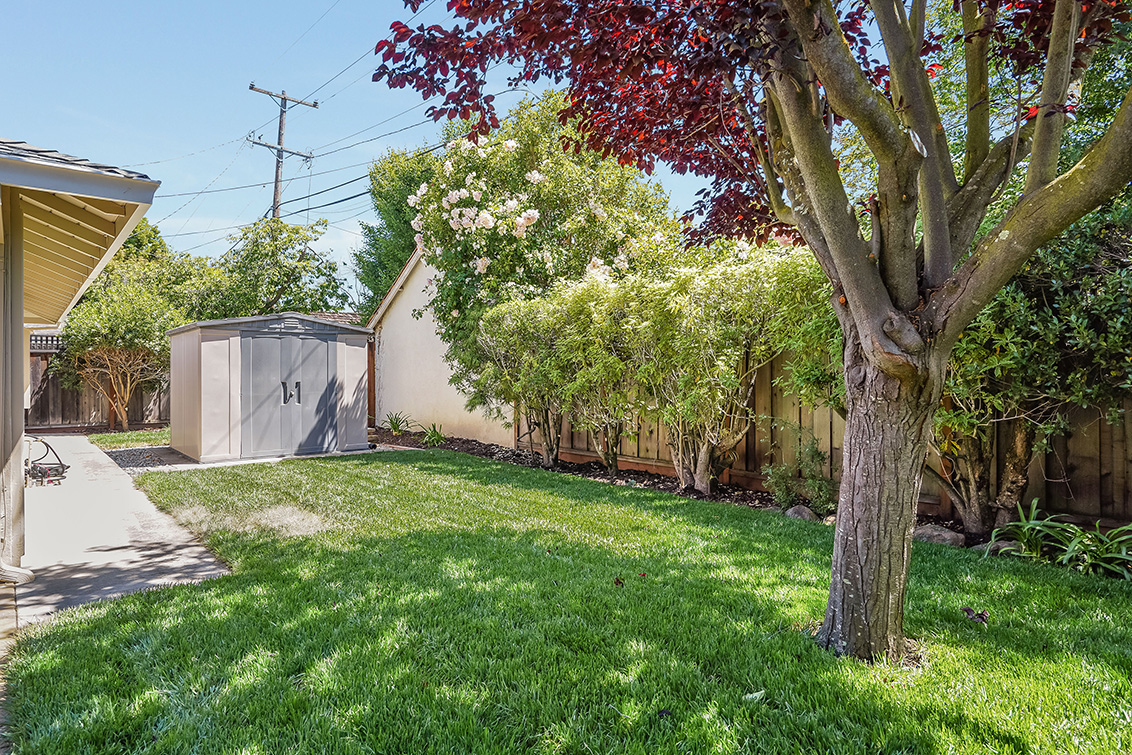 Back Lawn (B) picture - 144 Walter Hays Dr, Palo Alto 94303