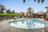 1290 Coyote Creek Way, Milpitas 95035 - Swimming Pool (B)