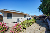 1727 Eberhard St, Santa Clara 95050 - Backyard 1 