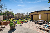 2252 Louis Rd, Palo Alto 94303 - Backyard (A)