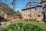 2252 Louis Rd, Palo Alto 94303 - Backyard (D)