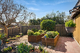 2252 Louis Rd, Palo Alto 94303 - Backyard (E)