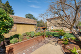 2252 Louis Rd, Palo Alto 94303 - Backyard (F)