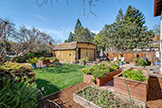 2252 Louis Rd, Palo Alto 94303 - Backyard (G)