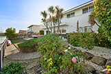 921 Lurline Dr, Foster City 94404 - Backyard (E)