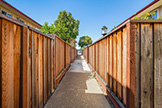 1615 Marina Ct #C, San Mateo 94403 - Courtyard Walk (A)