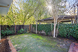 1260 University Ave, Palo Alto 94301 - Backyard (A)