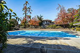 10572 White Fir Ct, Cupertino 95014 - Swimming Pool 