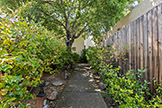 406 Pepper Ave, Palo Alto 94306 - Walkway (A)