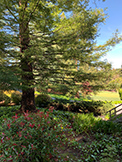 1100 Sharon Park Dr #2, Menlo Park 94025 - Golf (B)