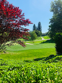 1100 Sharon Park Dr #2, Menlo Park 94025 - Golf (D)