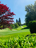 1100 Sharon Park Dr #2, Menlo Park 94025 - Golf (E)