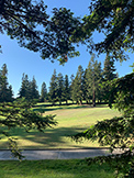 1100 Sharon Park Dr #2, Menlo Park 94025 - Golf (G)
