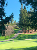 1100 Sharon Park Dr #2, Menlo Park 94025 - Golf (H)