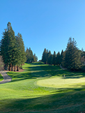 1100 Sharon Park Dr #2, Menlo Park 94025 - Golf (J)