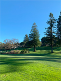 1100 Sharon Park Dr #2, Menlo Park 94025 - Golf (K)