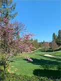 1100 Sharon Park Dr #2, Menlo Park 94025 - Golf (L)