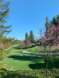 1100 Sharon Park Dr #2, Menlo Park 94025 - Golf (M)