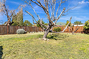 346 Ridge Vista Ave, San Jose 95127 - Backyard (B)