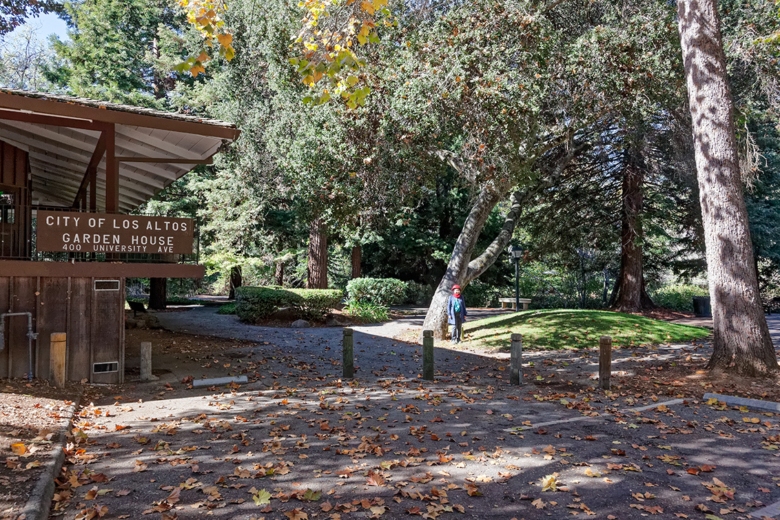 Shoup Park - Los Altos, CA