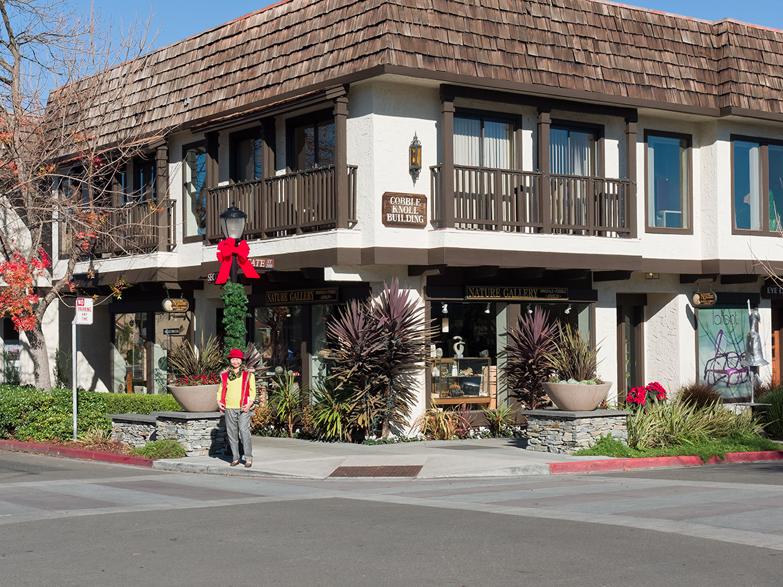 Cobble-Knoll Bldg - Los Altos, CA