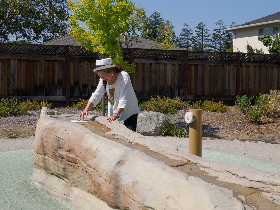 Wyandotte Park - Mountain View, CA